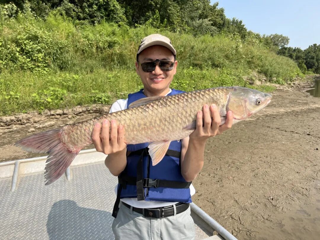 543014396ea241748e18f590126610cf.jpg 640.jpg